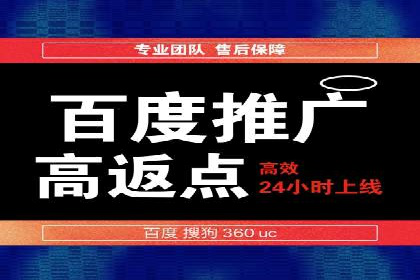 SEM代运营案例分析：精准投放策略解析